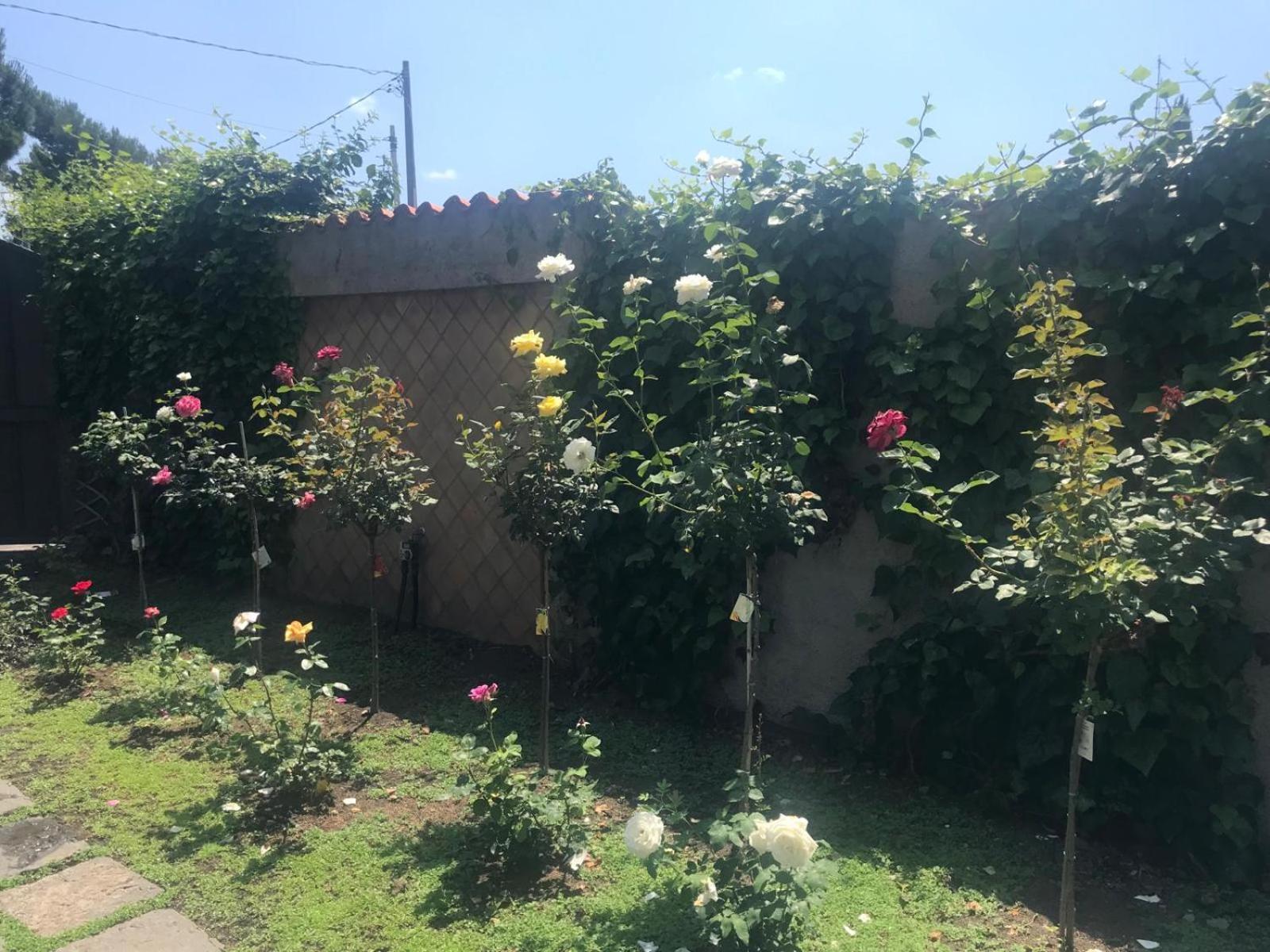 Villa Con Piscina Villa Scott Del Bernese Nicolosi Esterno foto